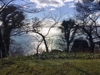 View at Ravenscraig Park