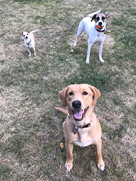 Jack, Lucy and JJ