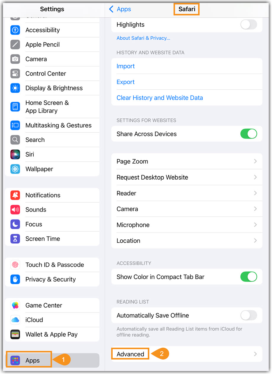iPad/iPhone Settings image of iPad/iPhone settings to Safari Advanced