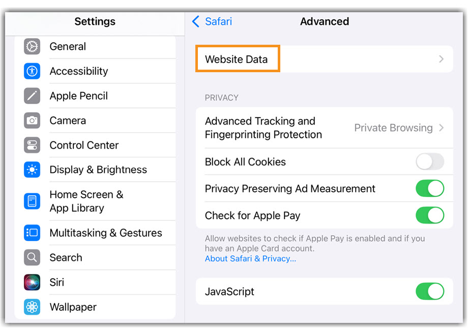 iPad Website Data image of iPad/iPhone Safari Website Data