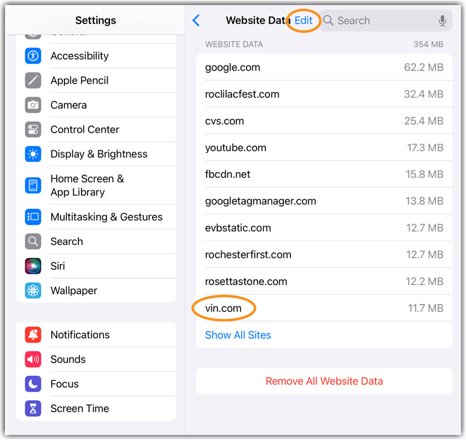 iPad Edit image of iPad/iPhone Website Data edit button