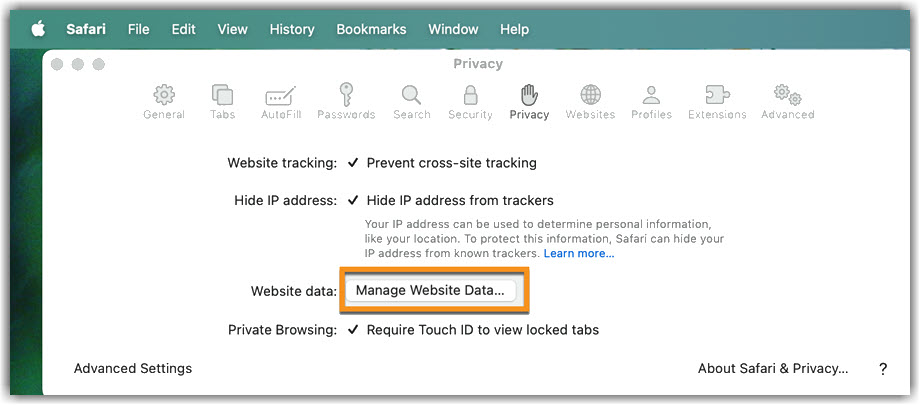 Safari Manage Website Data Image of Safari Manage Website Data page