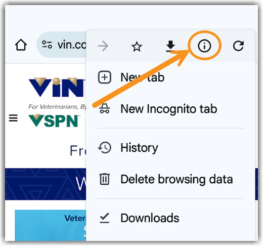 Android Info Image of accessing the Information under the Android Chrome menu
