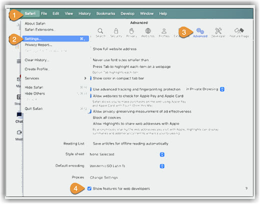 Safari Cache Settings Image of Safari Settings to clear cache